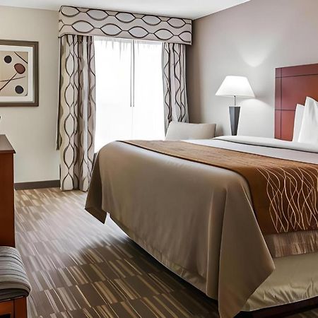 Comfort Inn & Suites University South Illetas Exterior foto