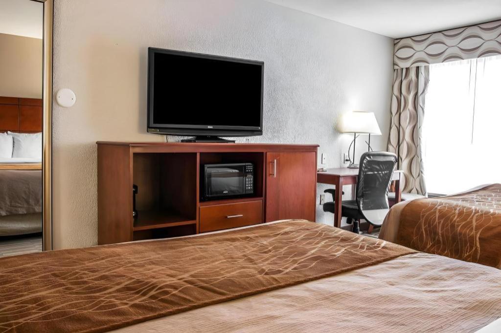 Comfort Inn & Suites University South Illetas Exterior foto