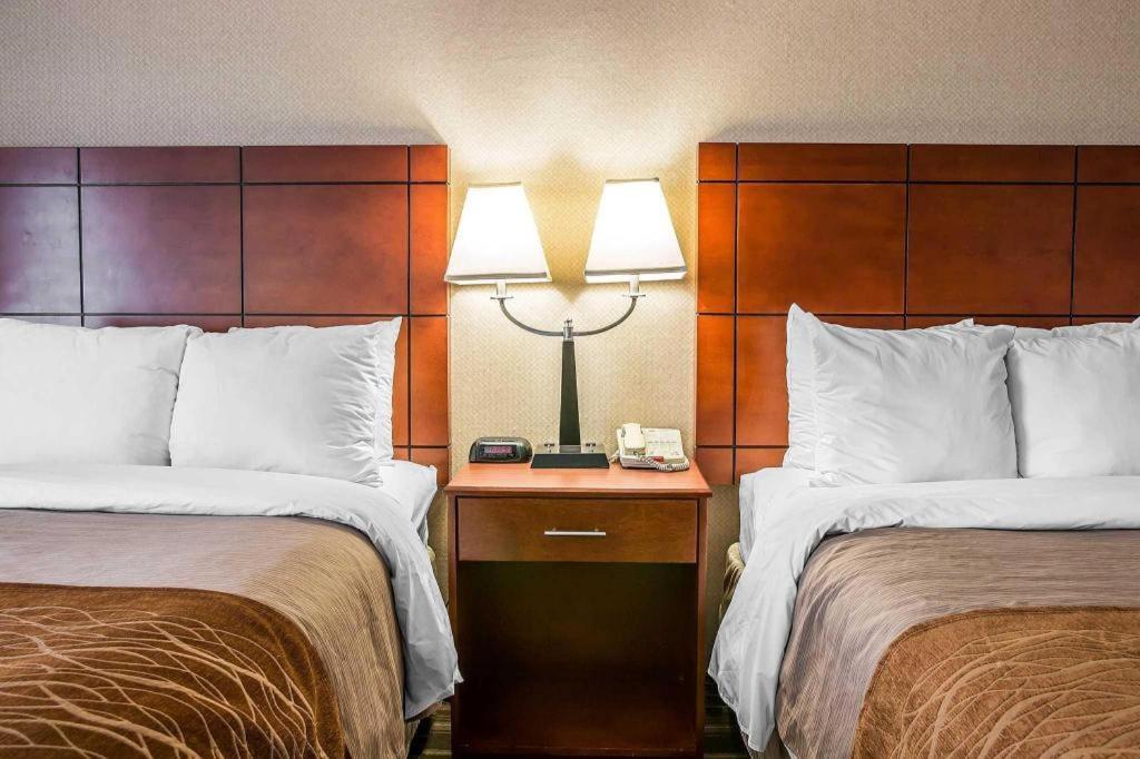 Comfort Inn & Suites University South Illetas Exterior foto