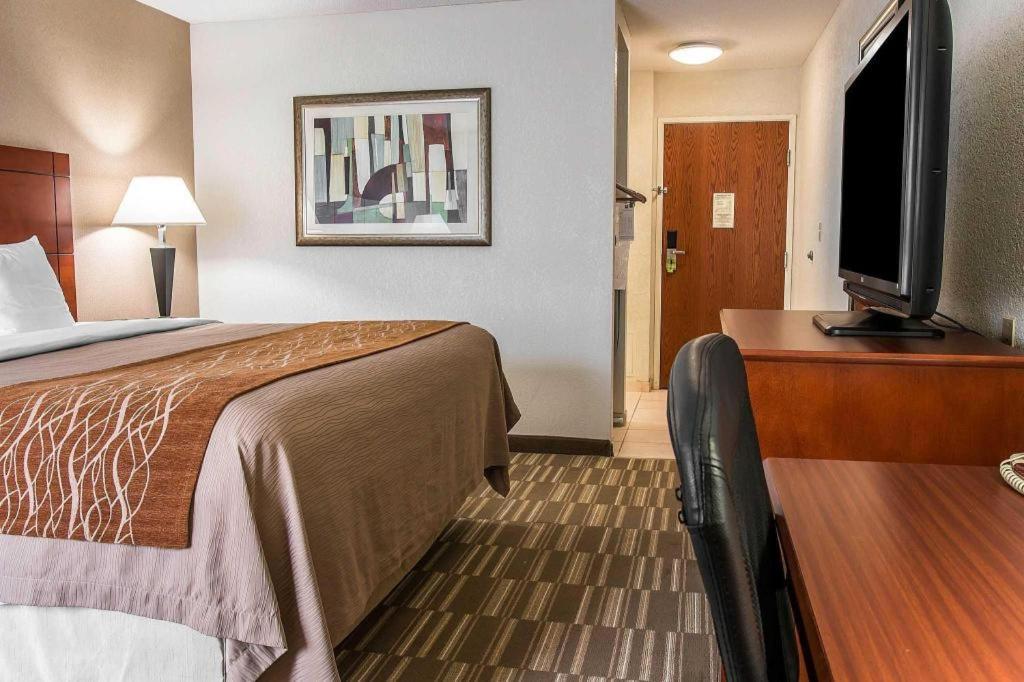 Comfort Inn & Suites University South Illetas Exterior foto