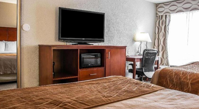 Comfort Inn & Suites University South Illetas Exterior foto