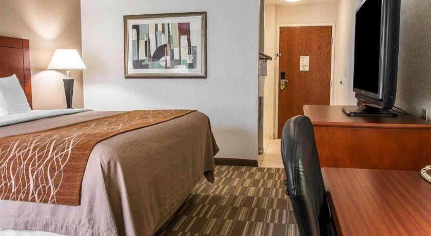 Comfort Inn & Suites University South Illetas Exterior foto